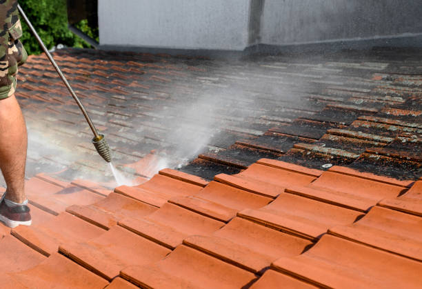 Best Roof Pressure Washing  in Ben Wheeler, TX