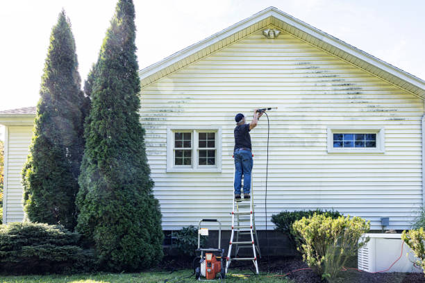 Best Pressure Washing Company Near Me  in Ben Wheeler, TX