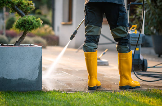 Best Roof Power Washing Services  in Ben Wheeler, TX